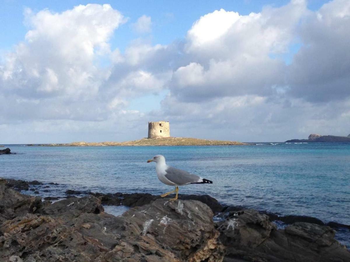 Maria Antonietta House Villa Porto Torres Eksteriør billede